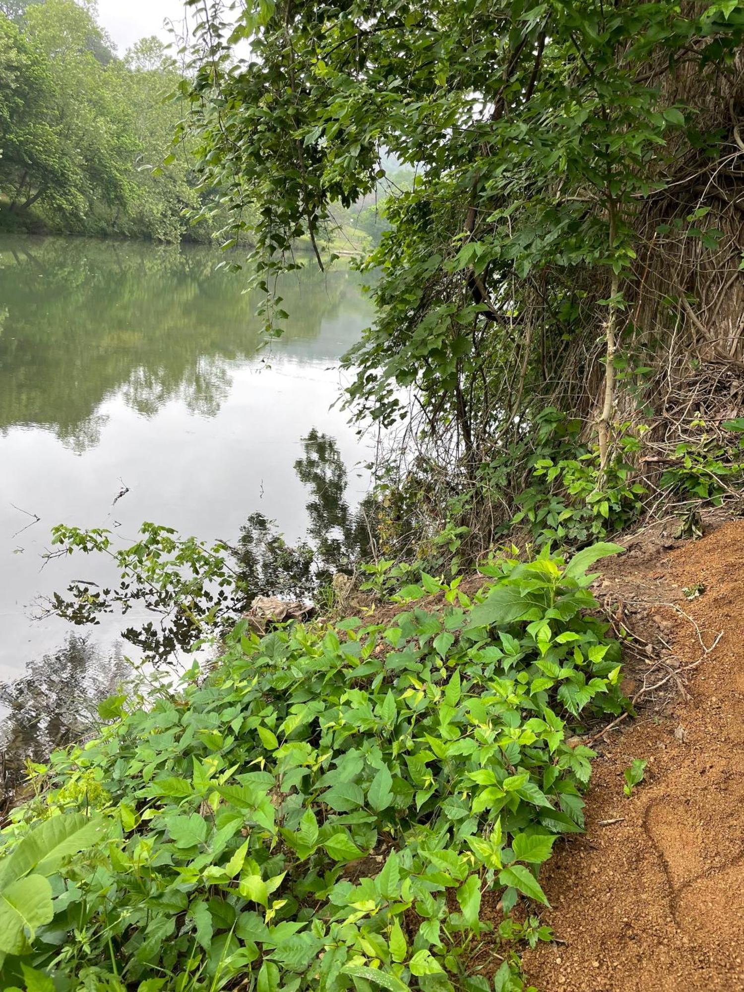 Pet Friendly Tiny House Rental With New Access To Guadalupe River Nbtx 新布朗费尔斯 外观 照片
