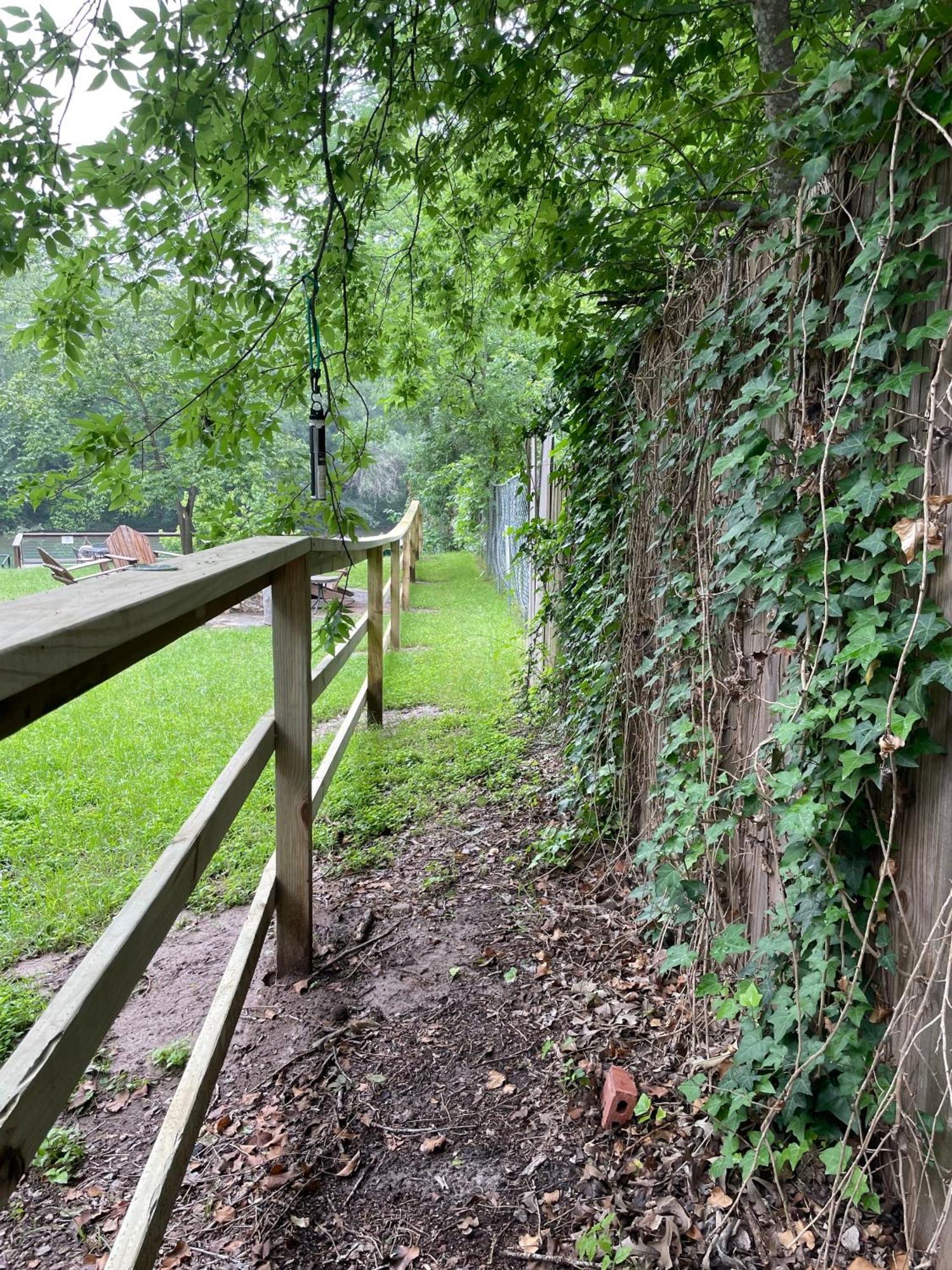 Pet Friendly Tiny House Rental With New Access To Guadalupe River Nbtx 新布朗费尔斯 外观 照片